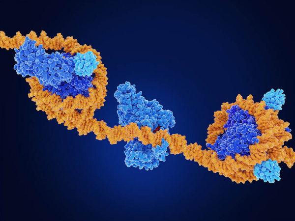 Read more about the article Genom Düzenlemesi ve Epigenetik: Genetik Mirasın Gizemi