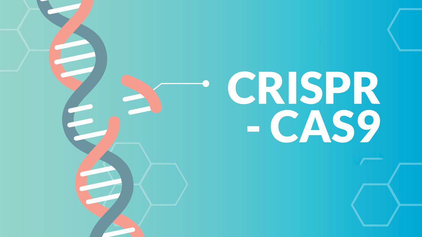 Read more about the article Genetik Düzenlemeler ve CRISPR-Cas9 Teknolojisi