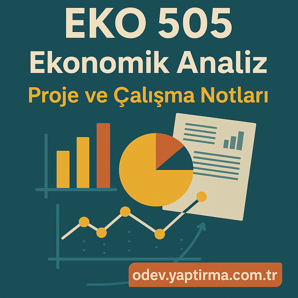 Read more about the article EKO 505 Ekonomik Analiz: Proje ve Çalışma Notları